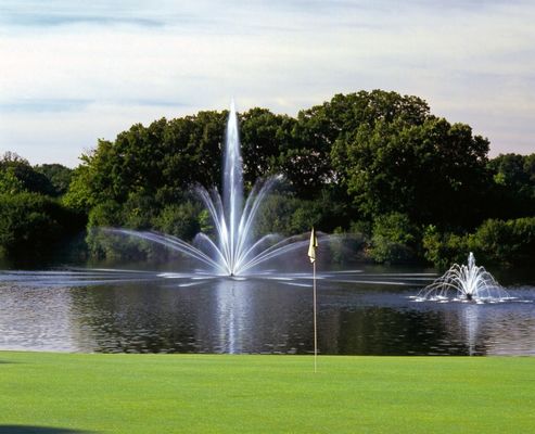 6m High Spray 1000mm SS304 Floating Musical Fountain Project